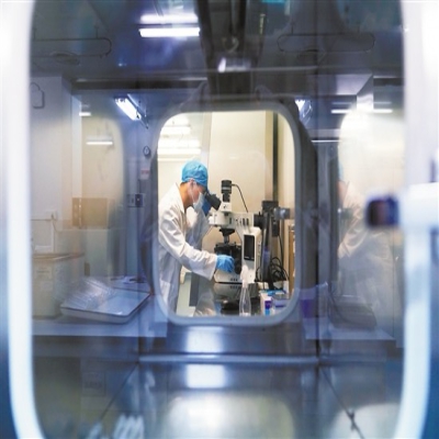 绿色化与智能化引领未来发展方向